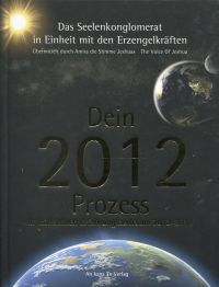 Amira, Dein 2012-Prozess. (Umschlag)