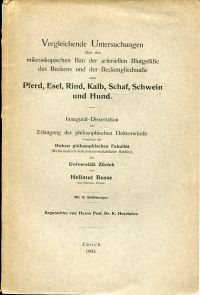 Busse, Vergleichende Untersuchungen über den mikroskopischen Bau der arteriellen (Umschlag)