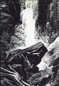 Patocchi, In Valmaggia con Aldo Patocchi. (Umschlag)