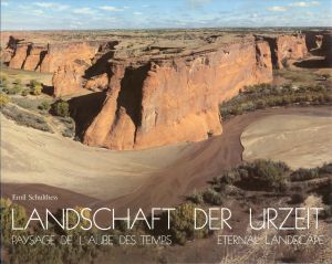 Schulthess, Landschaft der Urzeit. (Umschlag)