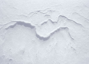 bildreich karten PK 69: schneestück V.