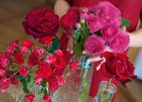 bildreich karten PK 1057: vier vasen mit rosen.