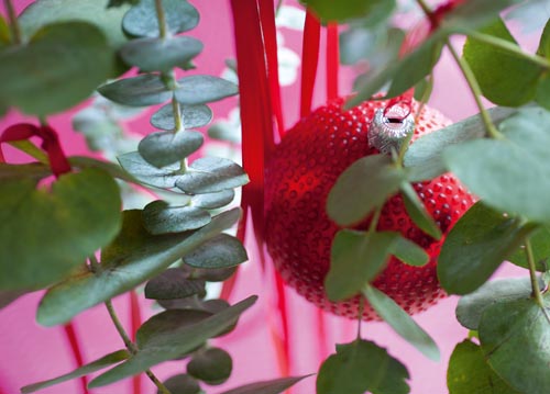 bildreich karten PK 1077: die rote weihnachtskugel.