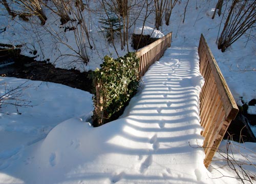 bildreich karten PK 1095: besuch im winter.