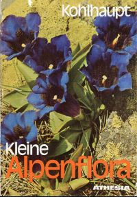 Kohlhaupt, Kleine Alpenflora. (Umschlag)