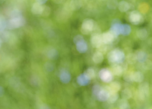 bildreich karten PK 177: sommersummen V.