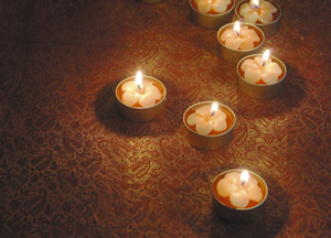bildreich karten PK 215: lichtblümchen.