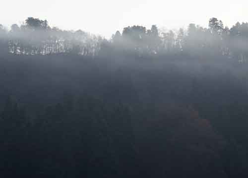 bildreich karten PK 679: morgennebel.