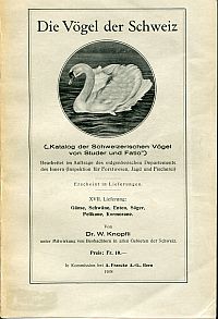 Knopfli, Gänse, Schwäne, Enten, Säger, Pelikane, Kormorane = Anatidae, Pelecanid (Umschlag)