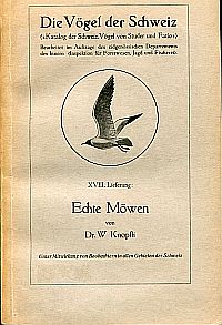 Knopfli, Echte Möwen = Larinæ (Unterfamilie der Laridæ). (Umschlag)