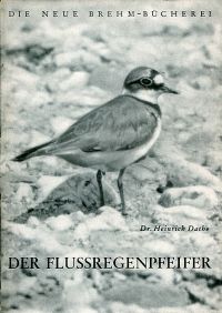 Dathe, Der Flussregenpfeifer. (Umschlag)