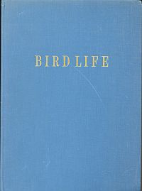 Granberg, Bird life. (Umschlag)