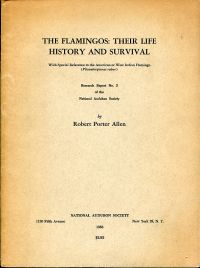 Allen, The Flamingos. (Umschlag)