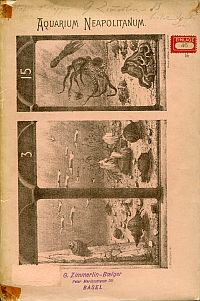 Führer durch das Aquarium der Zoologischen Station zu Neapel. (Umschlag)