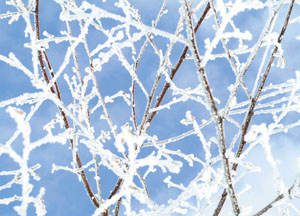 bildreich karten PK 80: winter I.