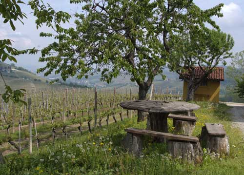 bildreich karten PK 575: vigneto I.