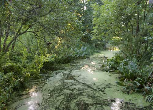 bildreich karten PK 712: im schlosspark II.
