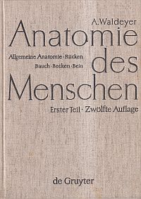 Waldeyer, Anatomie des Menschen. (Umschlag)