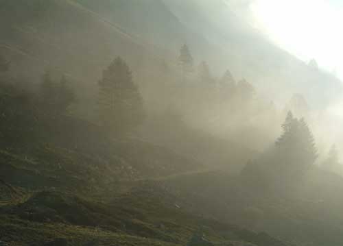 bildreich karten PK 748: pfad im morgennebel.