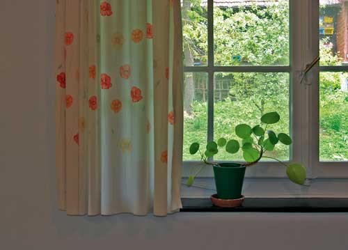 bildreich karten PK 899: kapuzinerfenster.