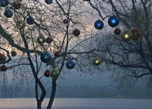 bildreich karten PK 986: advent am see.