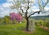 bildreich\bildreich_1027.jpg